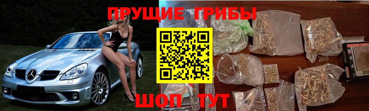 Галлюциногенные грибы мухоморы  Вход с VPN  хочу   Барабинск 